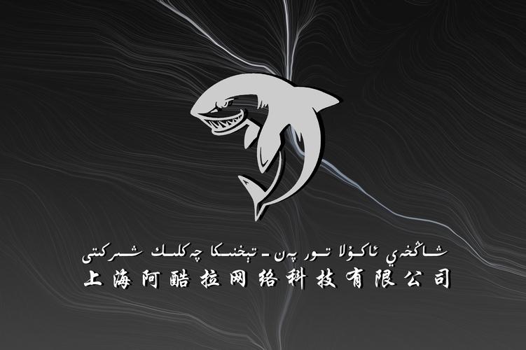 阿力木·吾马尔 以技术服务为核心，推动企业数字化升级专业之路